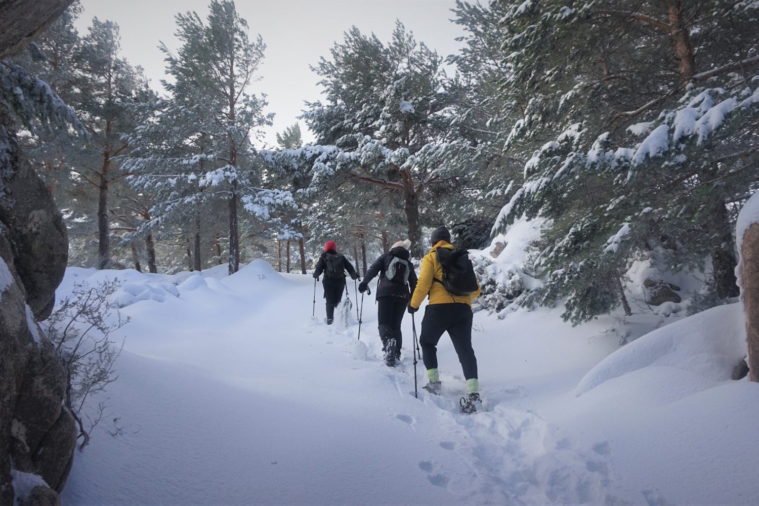 raquetas de nieve madrid