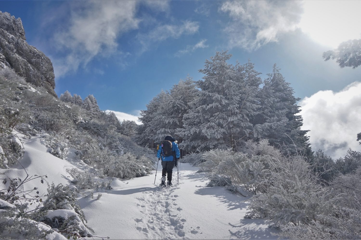 Raquetas de nieve madrid