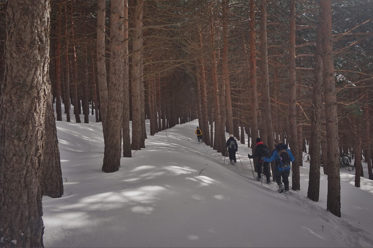 Raquetas de nieve Madrid
