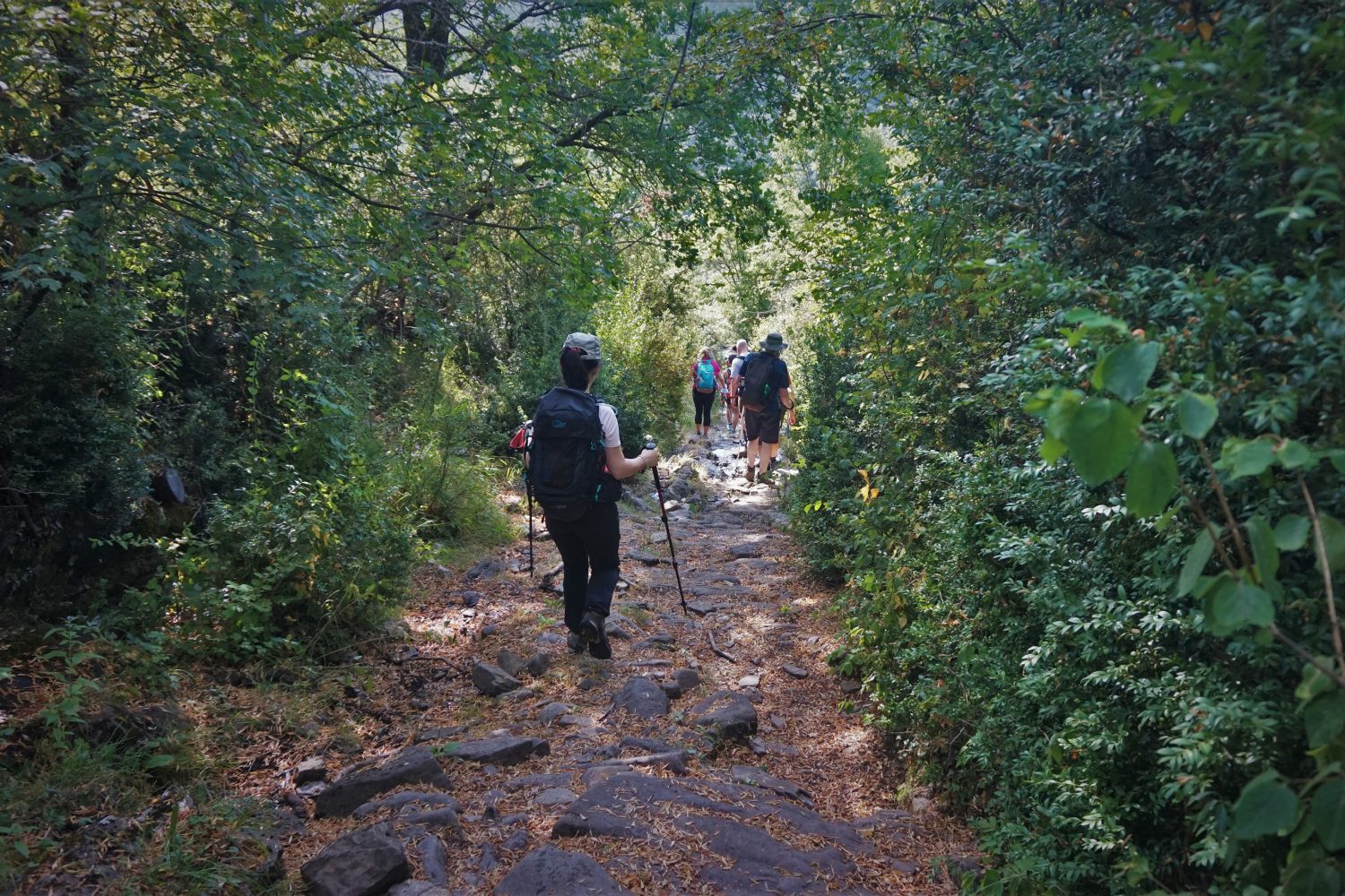 Senderismo trekking madrid pirineos ordesa 41