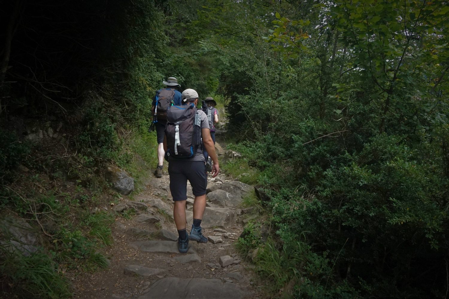 Senderismo trekking madrid pirineos ordesa 50