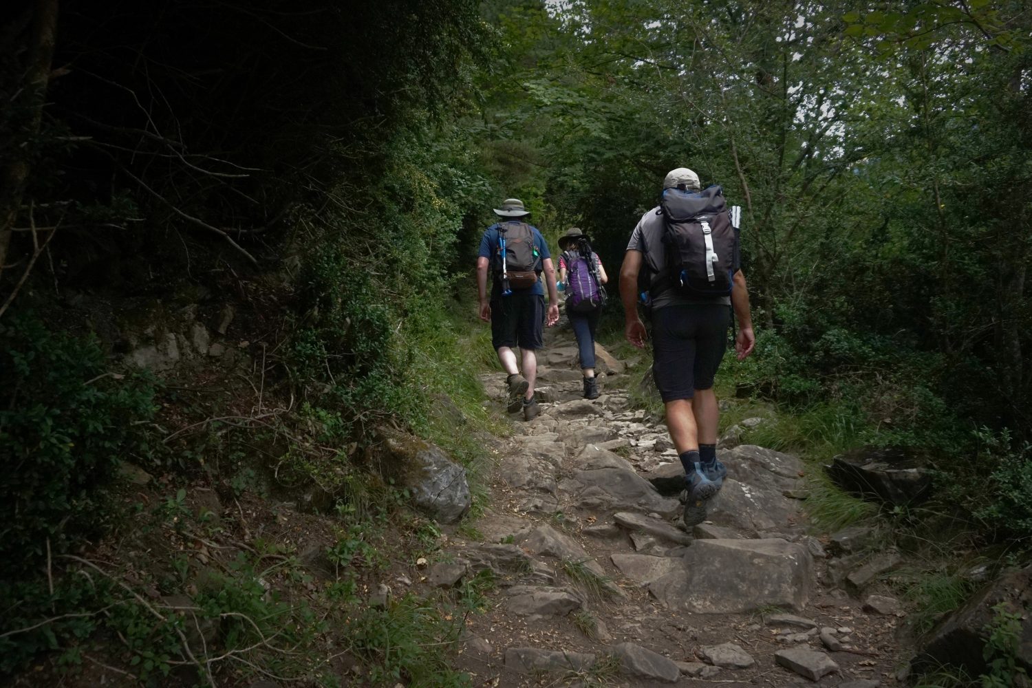 Senderismo trekking madrid pirineos ordesa 51