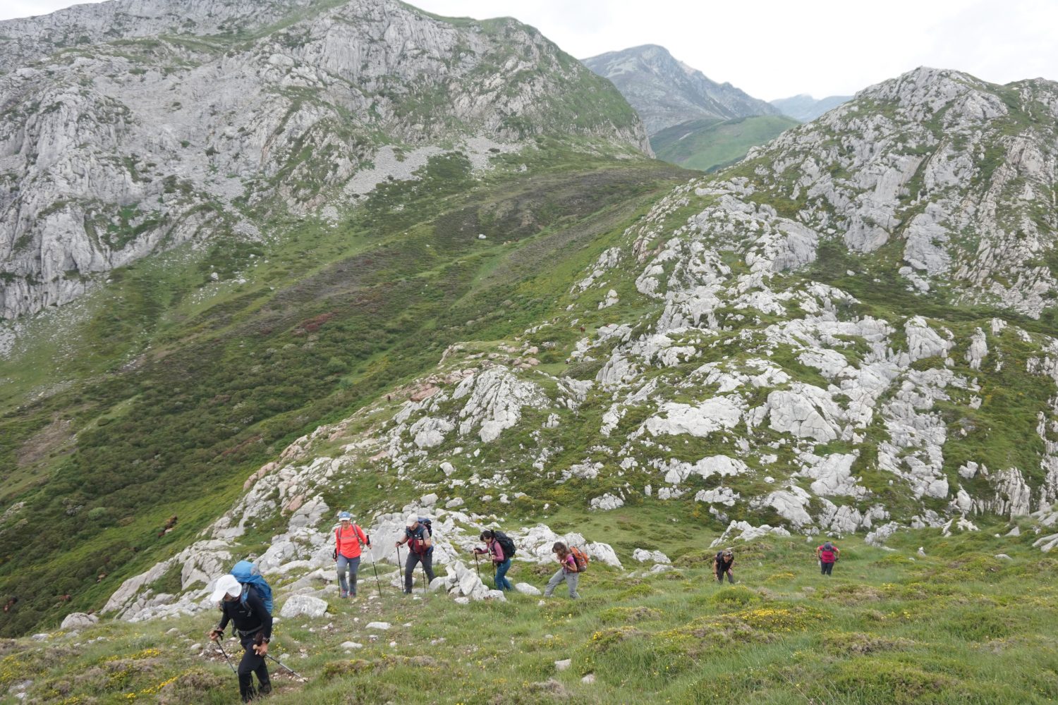 Senderismo madrid viajes trekking babia asturias Somiedo DDSC00044