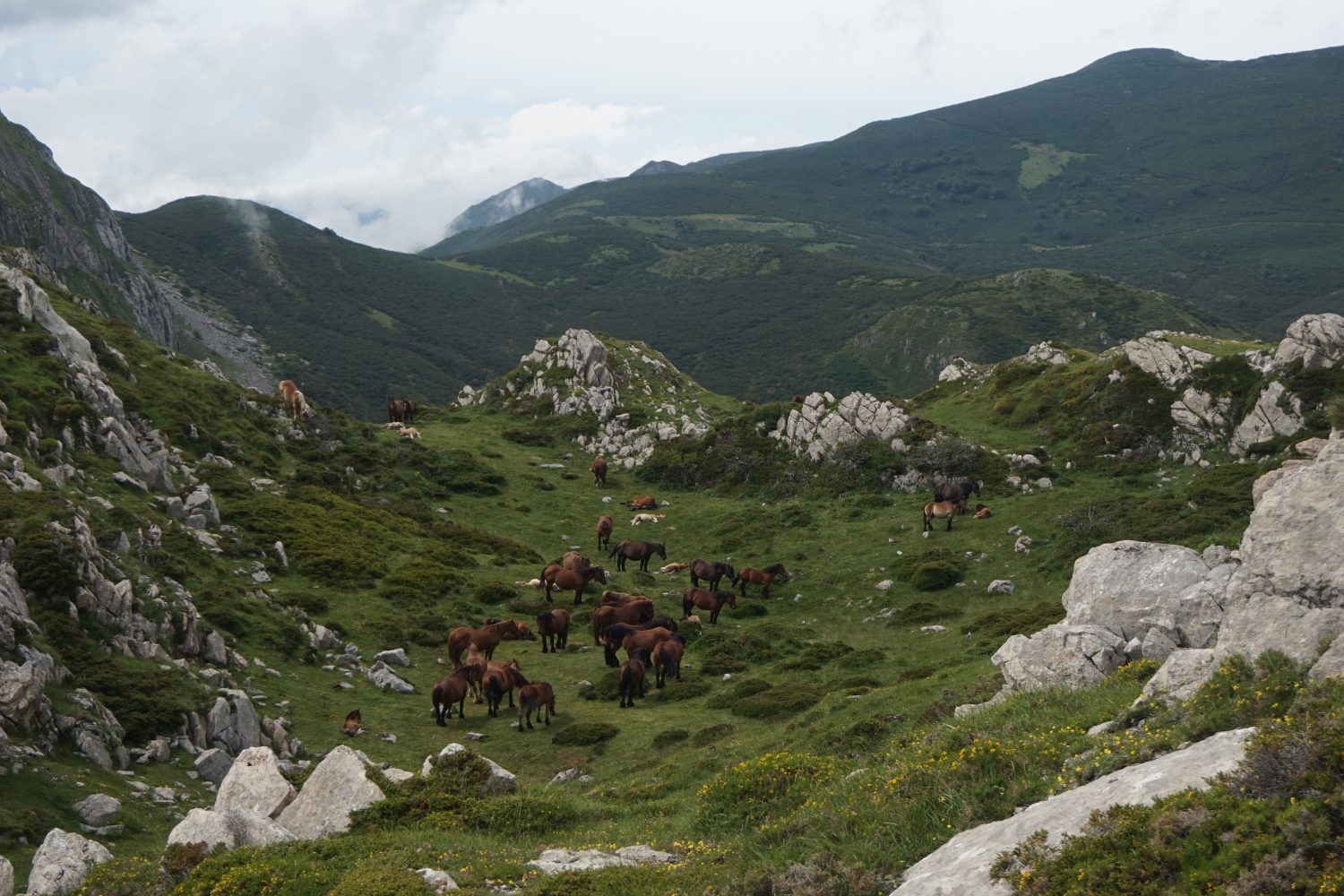 Senderismo madrid viajes trekking babia asturias Somiedo DDSC00098