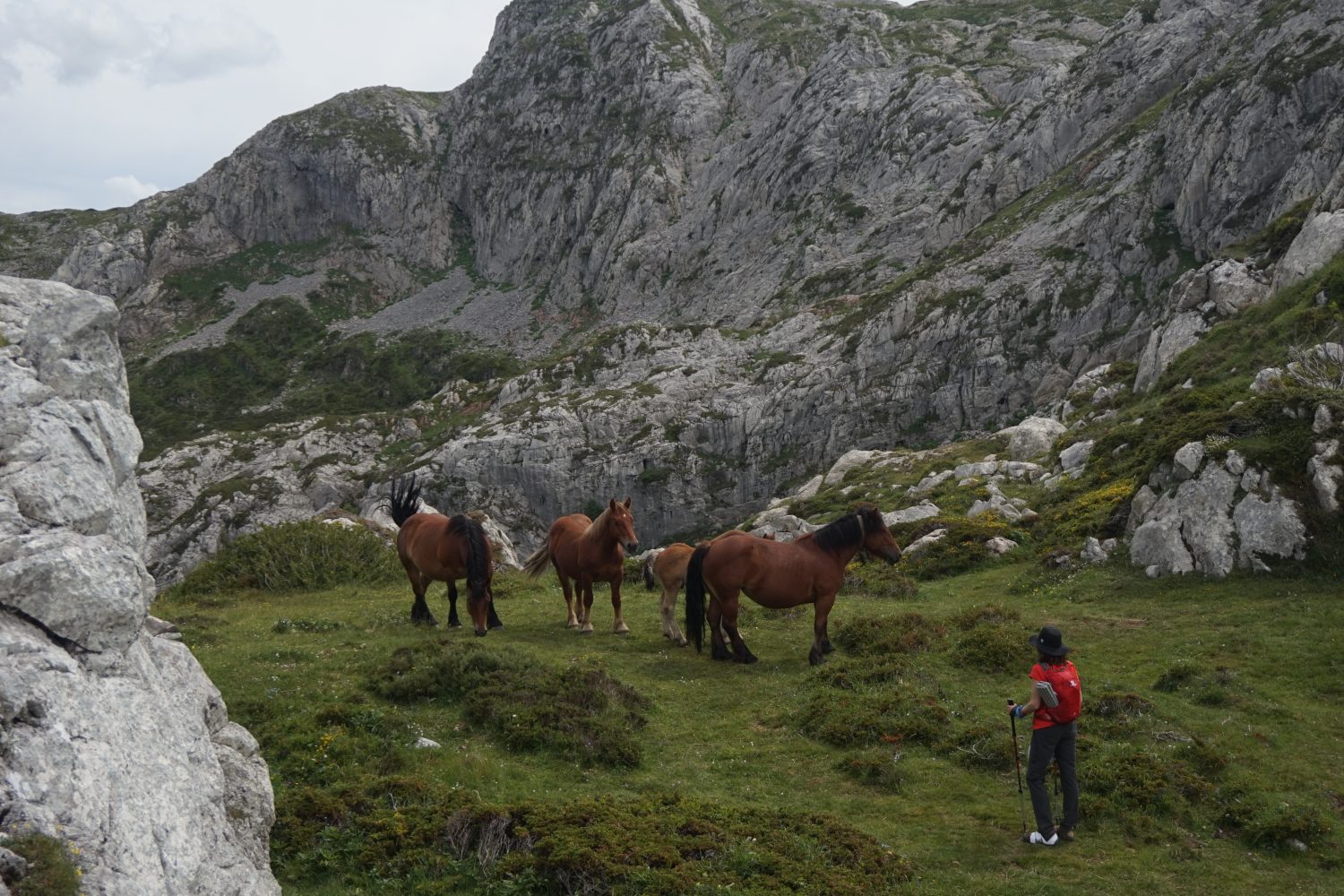 Senderismo madrid viajes trekking babia asturias Somiedo DDSC00100