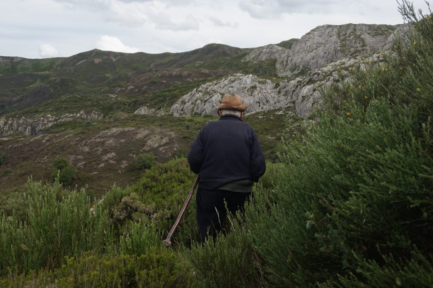 Senderismo madrid viajes trekking babia asturias Somiedo DDSC00109