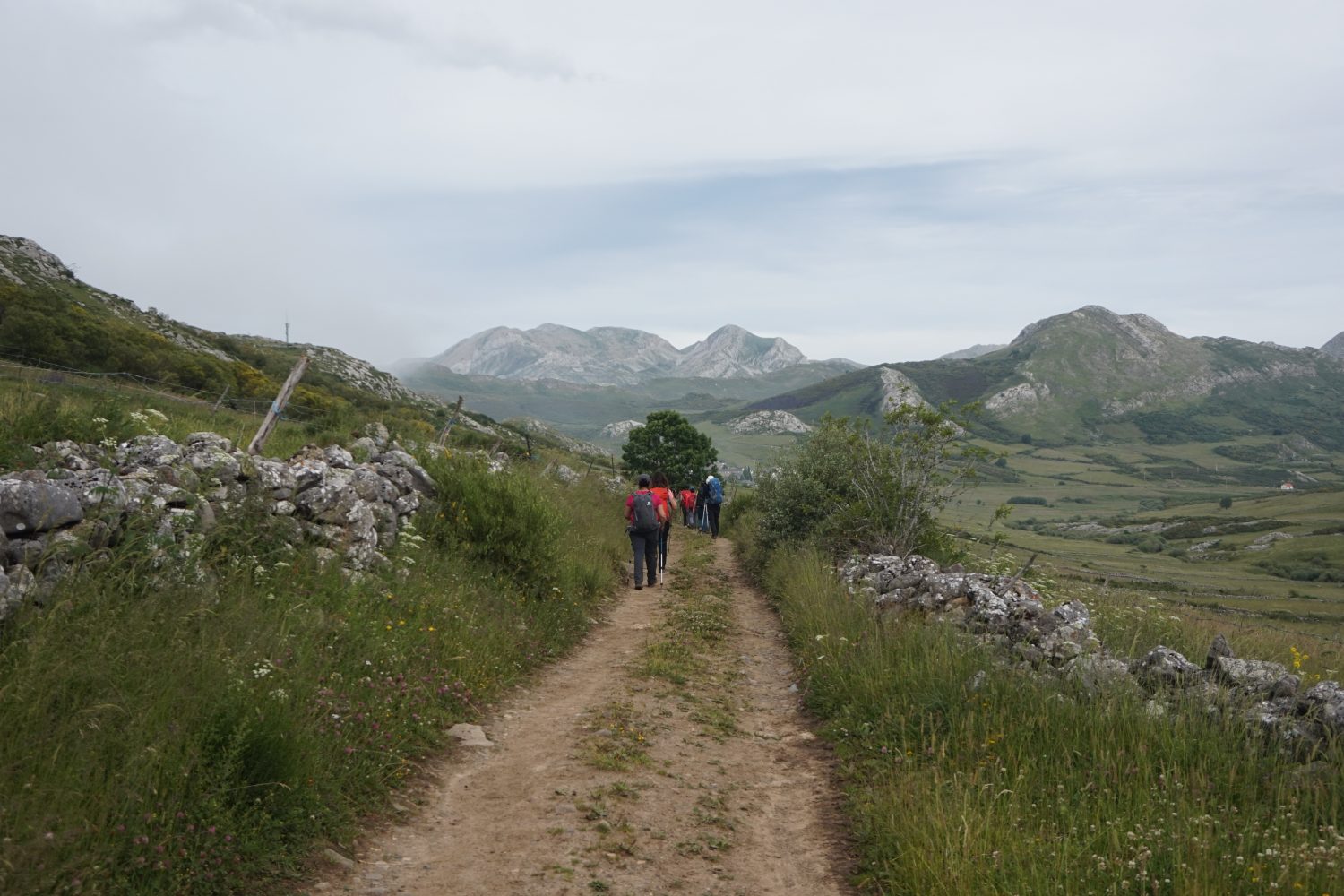 Senderismo madrid viajes trekking babia asturias Somiedo DDSC00128