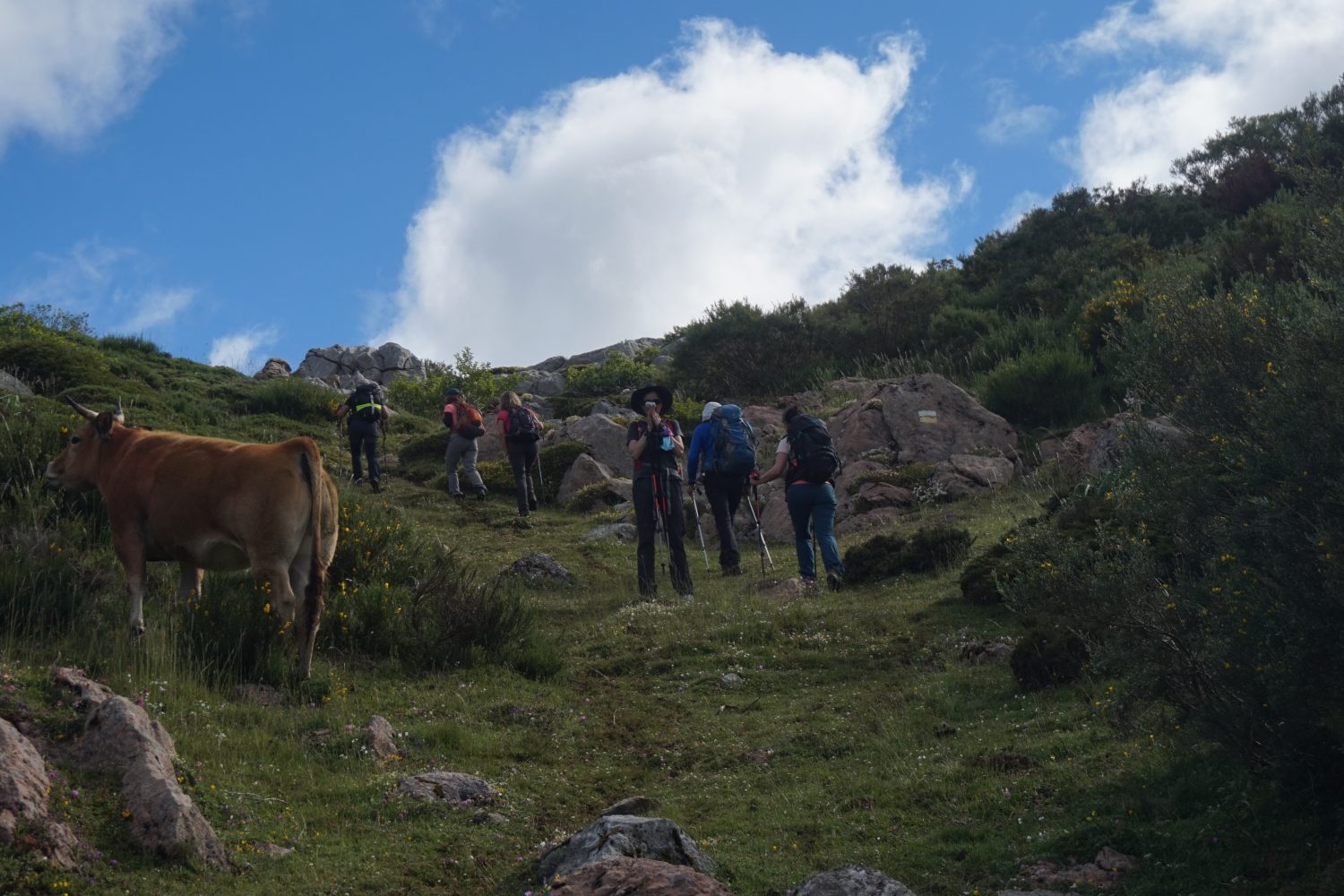 Senderismo madrid viajes trekking babia asturias Somiedo DDSC00150
