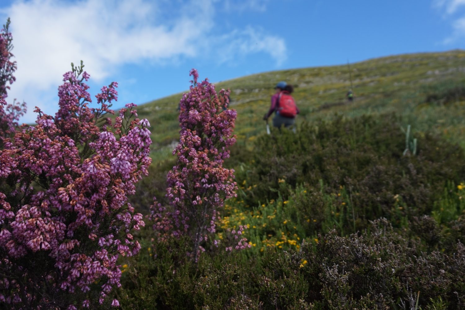 Senderismo madrid viajes trekking babia asturias Somiedo DDSC00175