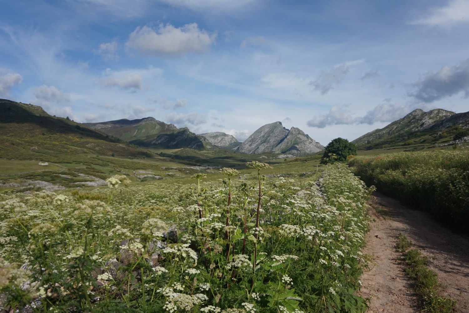Senderismo madrid viajes trekking babia asturias Somiedo DDSC09905
