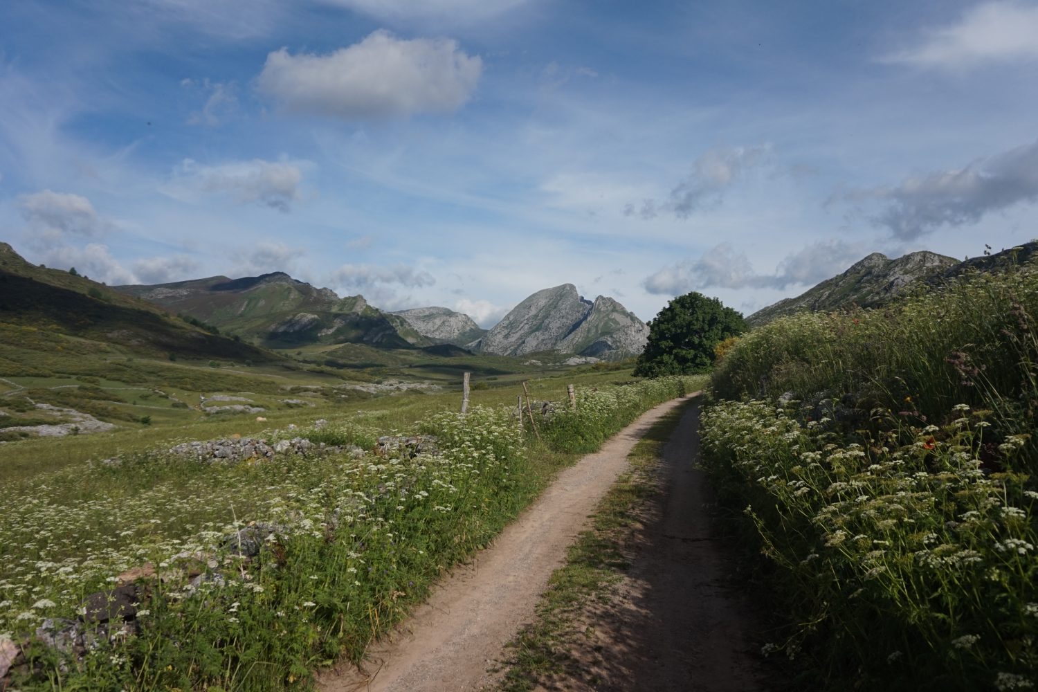 Senderismo madrid viajes trekking babia asturias Somiedo DDSC09909