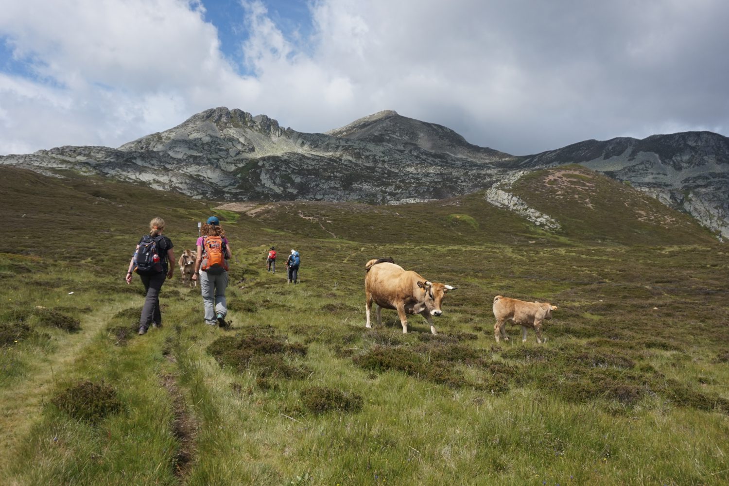 Senderismo madrid viajes trekking babia asturias Somiedo DDSC09933